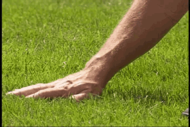 Touch grass gif
